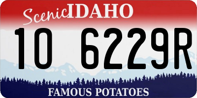 ID license plate 1O6229R