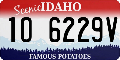 ID license plate 1O6229V