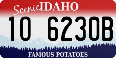 ID license plate 1O6230B