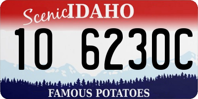 ID license plate 1O6230C