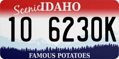 ID license plate 1O6230K