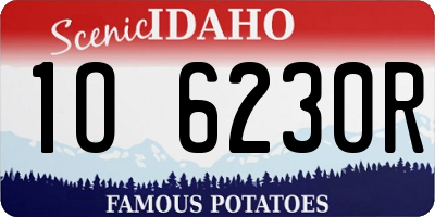ID license plate 1O6230R