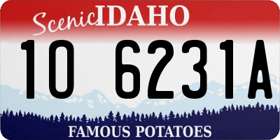 ID license plate 1O6231A