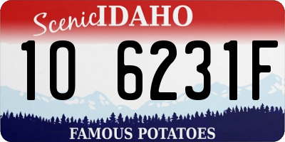 ID license plate 1O6231F