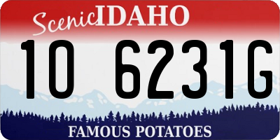 ID license plate 1O6231G