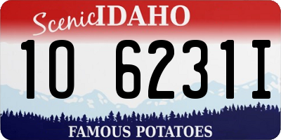ID license plate 1O6231I