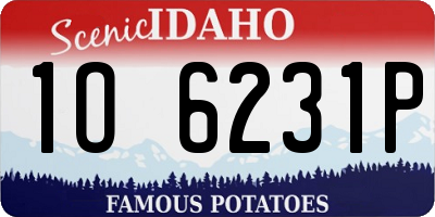 ID license plate 1O6231P