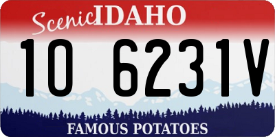 ID license plate 1O6231V