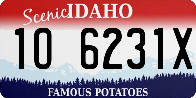 ID license plate 1O6231X