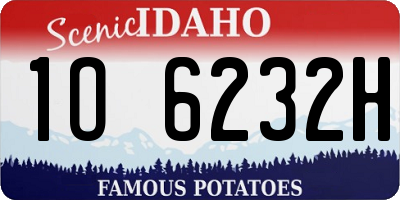 ID license plate 1O6232H