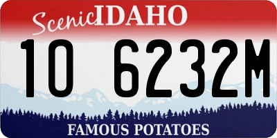 ID license plate 1O6232M