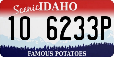 ID license plate 1O6233P
