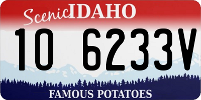ID license plate 1O6233V