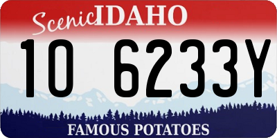 ID license plate 1O6233Y