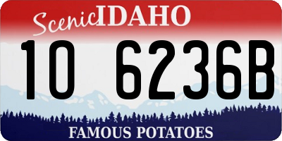 ID license plate 1O6236B