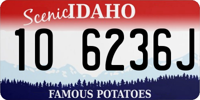 ID license plate 1O6236J