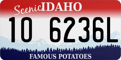 ID license plate 1O6236L