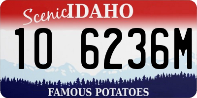 ID license plate 1O6236M