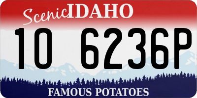 ID license plate 1O6236P
