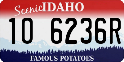 ID license plate 1O6236R