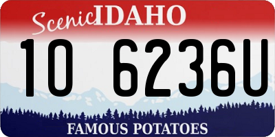 ID license plate 1O6236U