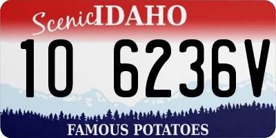 ID license plate 1O6236V