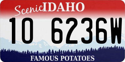 ID license plate 1O6236W