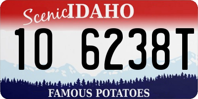ID license plate 1O6238T