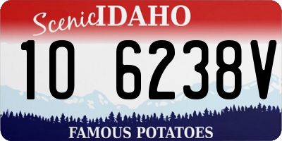 ID license plate 1O6238V