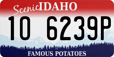 ID license plate 1O6239P