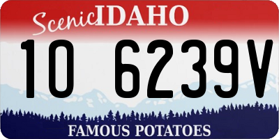 ID license plate 1O6239V