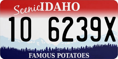 ID license plate 1O6239X