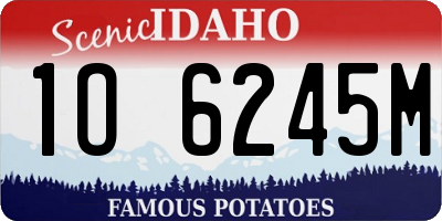 ID license plate 1O6245M