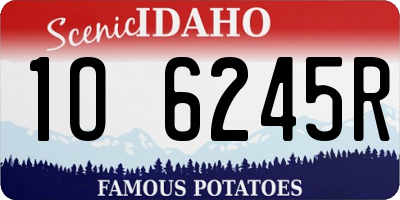 ID license plate 1O6245R