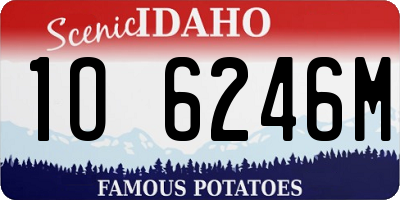 ID license plate 1O6246M