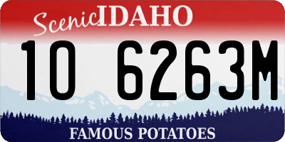 ID license plate 1O6263M
