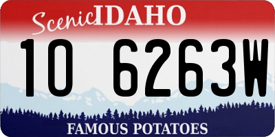 ID license plate 1O6263W