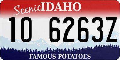 ID license plate 1O6263Z