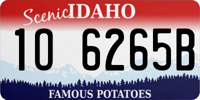 ID license plate 1O6265B
