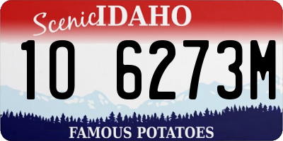 ID license plate 1O6273M