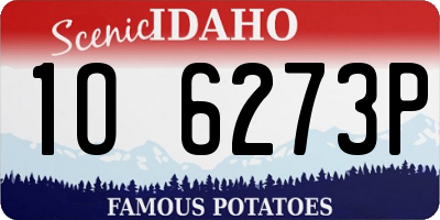 ID license plate 1O6273P