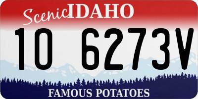ID license plate 1O6273V