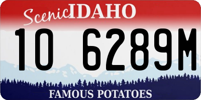 ID license plate 1O6289M