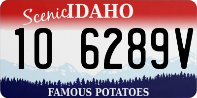 ID license plate 1O6289V