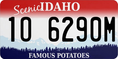 ID license plate 1O6290M