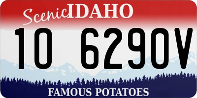ID license plate 1O6290V