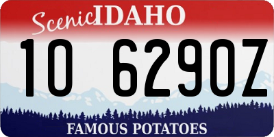 ID license plate 1O6290Z