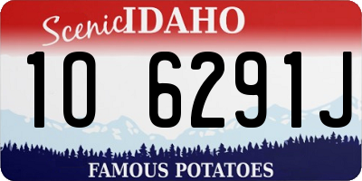 ID license plate 1O6291J
