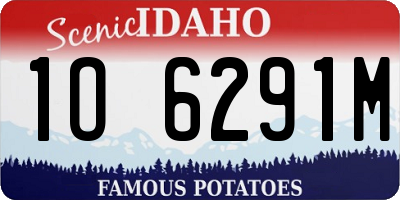 ID license plate 1O6291M