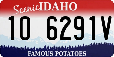 ID license plate 1O6291V